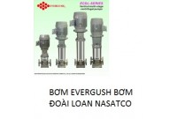 bơm evergush đoài loan EDCL